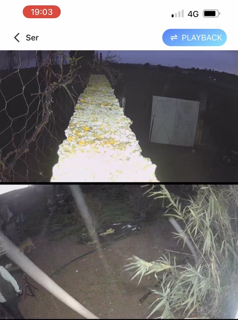 رؤية ليلية وتتبع